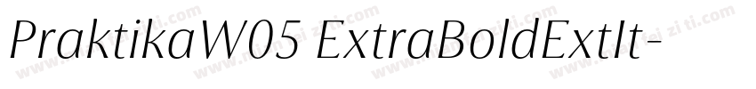 PraktikaW05 ExtraBoldExtIt字体转换